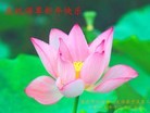 ֹ,󷨵ӹףʦ(25)

