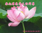 ֹ,ӱ󷨵ӹףʦ(22)
