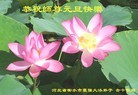 ֹ,ӱ󷨵ӹףʦ(22)

