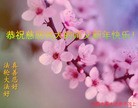 ֹ,ɽ󷨵ӹףʦ(25)
