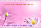 Published on 1/1/2016 ���ֹ�,��½�󷨵��ӹ�ףʦ���������(40��)
