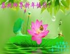 Published on 1/1/2016 ���ֹ�,��½�󷨵��ӹ�ףʦ���������(25��)
