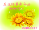 Published on 1/1/2016 ���ֹ�,��½�󷨵��ӹ�ףʦ���������(40��)
