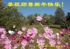Published on 1/1/2016 ���ֹ�,����ҵ�󷨵��ӹ�ףʦ�������(37��)
