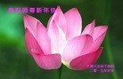 ֹ,󷨵ӹףʦ(27)
