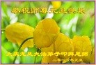 ֹ,󷨵ӹףʦ(26)
