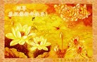 ֹ,մ󷨵ӹףʦ(26)
