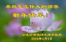 Published on 12/31/2015 ���ֹ�,С���ӹ�ףʦ���������(25��)
