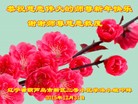 Published on 12/31/2015 ���ֹ�,��½�󷨵��ӹ�ףʦ���������(34��)
