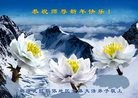 Published on 12/29/2015 ���ֹ�,��½�󷨵��ӹ�ףʦ���������(35��)
