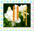 Published on 12/29/2015 ���ֹ�,��½�󷨵��ӹ�ףʦ���������(38��)
