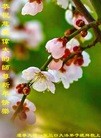 ֹ,󷨵ӹףʦ(26)
