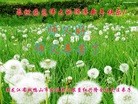 ֹ,󷨵ӹףʦ(23)
