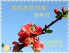 ֹ,ʡ󷨵ӹףʦ(23)
