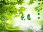ֹ,󷨵ӹףʦ(20)

