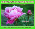 ֹ,󷨵ӹףʦ(26)

