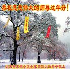 法轮功,大庆大法弟子恭祝师尊过年好(21条)
