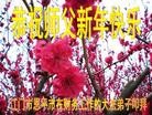 ֹ,㶫󷨵ӹףʦ(28)
