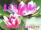 ֹ,㶫󷨵ӹףʦ(28)
