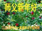 ֹ,㶫󷨵ӹףʦ(28)

