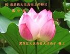 ֹ,ϵͳ󷨵ӹףʦ(23)
