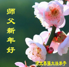 ֹ,ӱ󷨵ӹףʦ(20)
