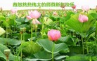 ֹ,󷨵ӹףʦ(22)
