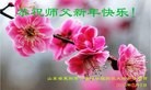 Published on 2/16/2015 ���ֹ�,��½�󷨵��ӹ�ףʦ������(28��)
