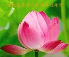 Published on 2/16/2015 ���ֹ�,��½�󷨵��ӹ�ףʦ������(31��)
