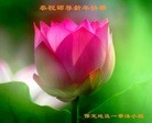 ֹ,󷨵ӹףʦ(24)

