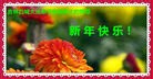 ֹ,ʡ󷨵ӹףʦ(25)
