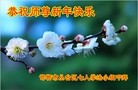 Published on 2/16/2015 ���ֹ�,��½�󷨵��ӹ�ףʦ������(31��)
