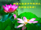 ֹ,ϴ󷨵ӹףʦ(24)

