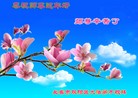 ֹ,󷨵ӹףʦ(22)
