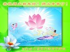 Published on 2/16/2015 ���ֹ�,��½�󷨵��ӹ�ףʦ������(33��)
