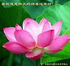 ֹ,ʯׯ󷨵ӹףʦ(27)
