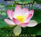 ֹ,󷨵ӹףʦ(27)
