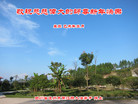 ֹ,Ĵ󷨵ӹףʦ(24)
