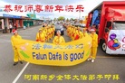 法轮功,河南大法弟子恭祝师尊过年好(27条)
