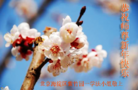 ֹ,󷨵ӹףʦ(27)
