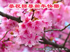 ֹ,󷨵ӹףʦ(25)
