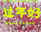 ֹ,󷨵ӹףʦ(23)
