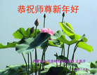 ֹ,󷨵ӹףʦ(27)
