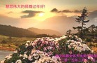 ֹ,󷨵ӹףʦ(26)
