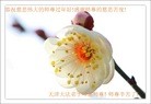 ֹ,󷨵ӹףʦ(25)
