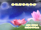 ֹ,Ϻ󷨵ӹףʦ(24)
