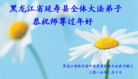 ֹ,󷨵ӹףʦ(20)
