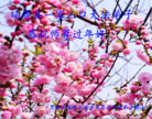 ֹ,󷨵ӹףʦ(20)
