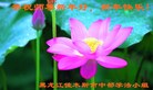 ֹ,ľ˹󷨵ӹףʦ(25)
