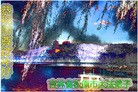 ֹ,ʡ󷨵ӹףʦ(29)
